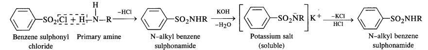 Solutions Class 12 Chemistry Chapter-13 (Amines)