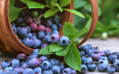 5 Amazing Blueberry Fruit Health Benefits