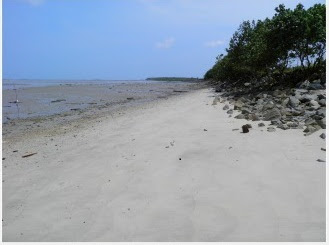 Want to try new atmosphere while traveling in Malaysia? Visit Carey Island, Malaysia