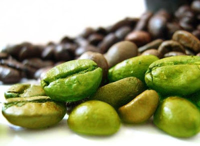 Green Coffee Bean Extract For Weight Reduction