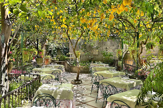 Diners on O'Parrucchiano's upper terrace feel like they are eating in a lemon grove