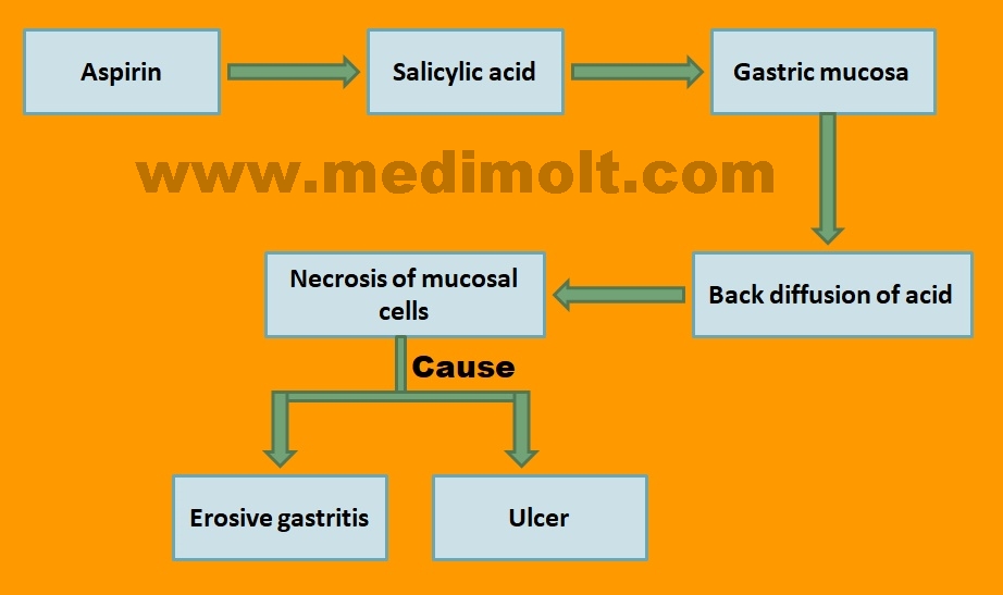 What is Non Steroidal Anti Inflammatory Drugs pathology of Inflammation