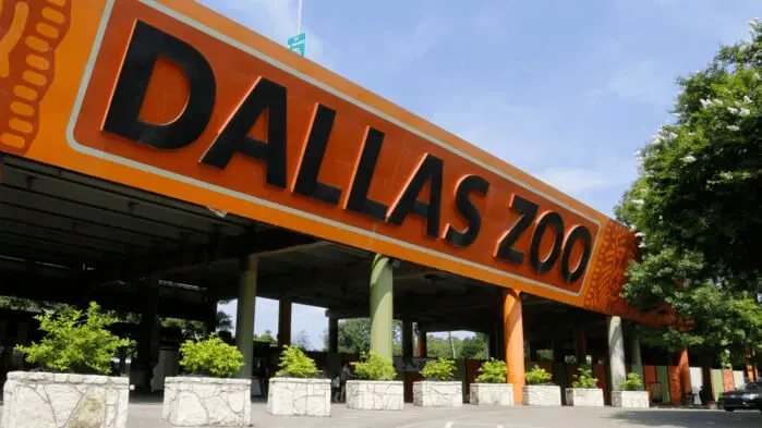 Things to Do in Dallas Texas