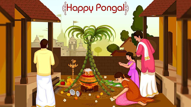Pongal 2020: Dates, History, Importance Of The Harvest Festival | Tamil Festival