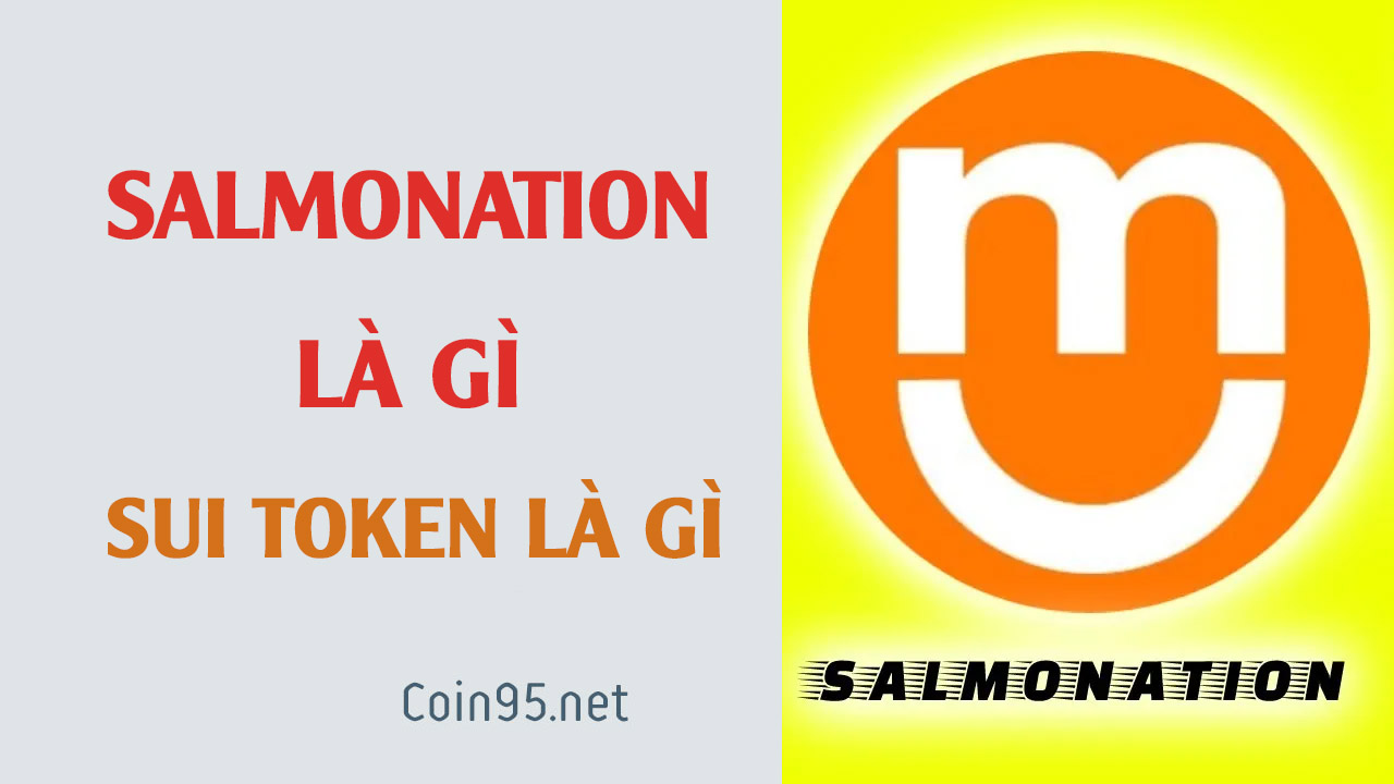 sui-token-la-gi