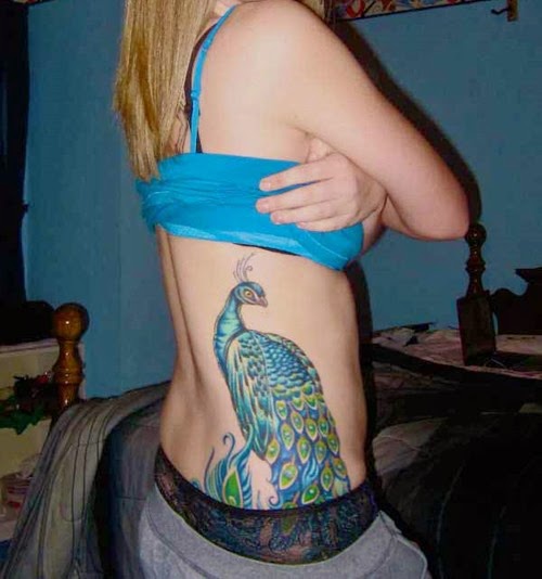 Rib Peacock Tattoo for Girls