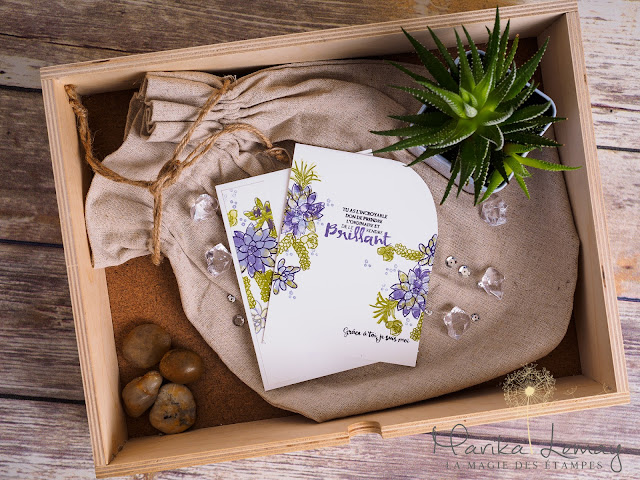 carte stampinup avec plantes succulentes