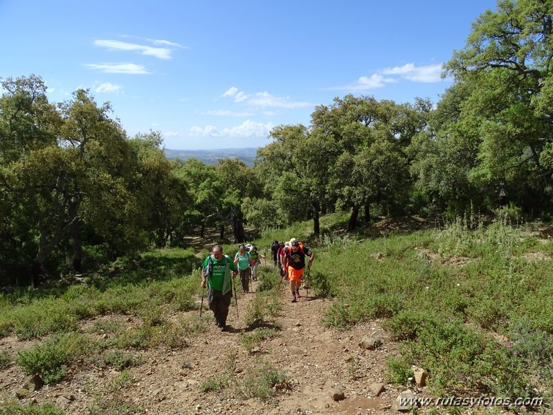 El Colmenar - Camino de los Arrieros - Puerto de los Peñones - Puerto de la Venta - Garganta de Los Charcones