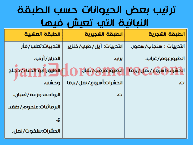 انجاز الجانبية الطبوغرافية انجاز الجانبية الطبوغرافية