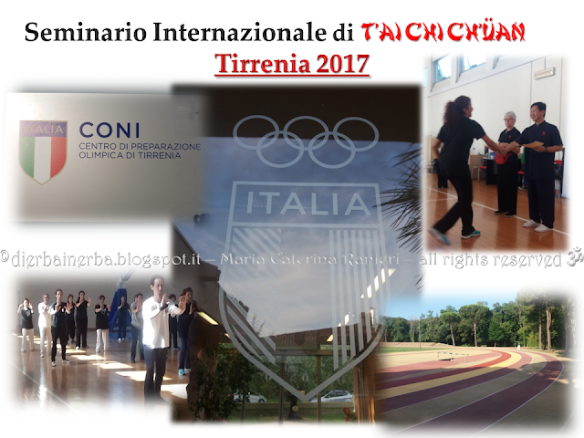 Docente del Corso di Erboristeria “Di Erba in Erba©” Cromoterapeuta - Cromoestetica Floriterapeuta Mediterranea - esperta di Cosmesi naturale personalizzata, Consulente naturopata - vasta esperienza anche con bimbi e anziani -  Istruttore di “Tai Chi Chuan” e di “Tai Chi Kung” dello Stile Yang,della International Family Tai Chi Chuan Association e dell’ASC Sport – Ente di Promozione sportiva riconosciuta dal CONI -http://dierbainerba.blogspot.it - © Maria Caterina Ranieri – all rights reserved ॐ