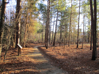 Raven Rock State Park Longleaf Loop Hiking Trail © Katrena