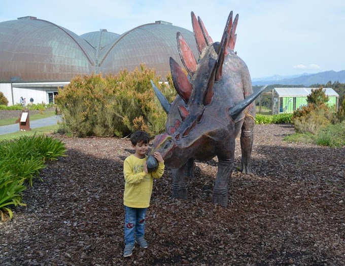 Ruta de los dinosaurios en Asturias: MUJA y visita a las icnitas