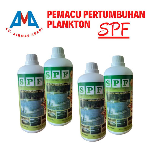 spf plankton