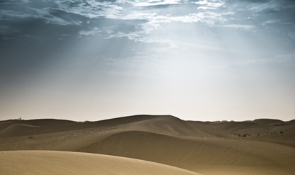 Abu Dhabi Desert Landscape (4 of 6)