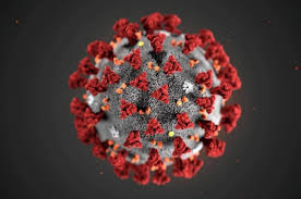 Core Committee chaired by Gujarat’s Chief Minister and Deputy Chief Minister take three major decisions to tackle corona virus