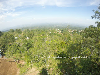 WANA WISATA TERNADI - View