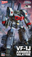 Hasegawa 1/72 VF-1J ARMORED VALKYRIE (30) English Color Guide & Paint Conversion Chart