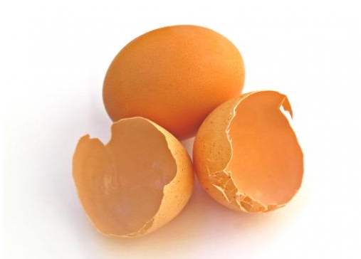 Gambar Manfaat Kulit Telur