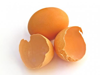 Dahsyatnya Manfaat Kulit Telur, Ini Khasiat dan Cara Penggunaanya! 