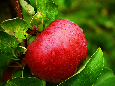 wallpaper raindrops. wallpaper raindrops.