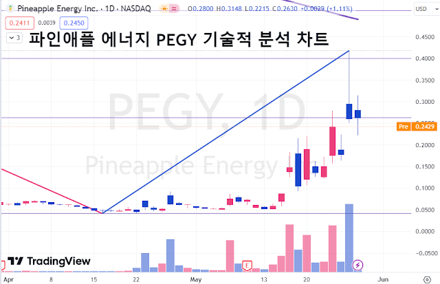 파인애플-에너지-PEGY-기술적-분석-차트