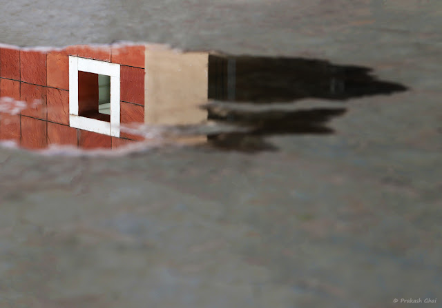 Reflection of White Square in a Puddle of Water at Jawahar Kala Kendra, Jaipur