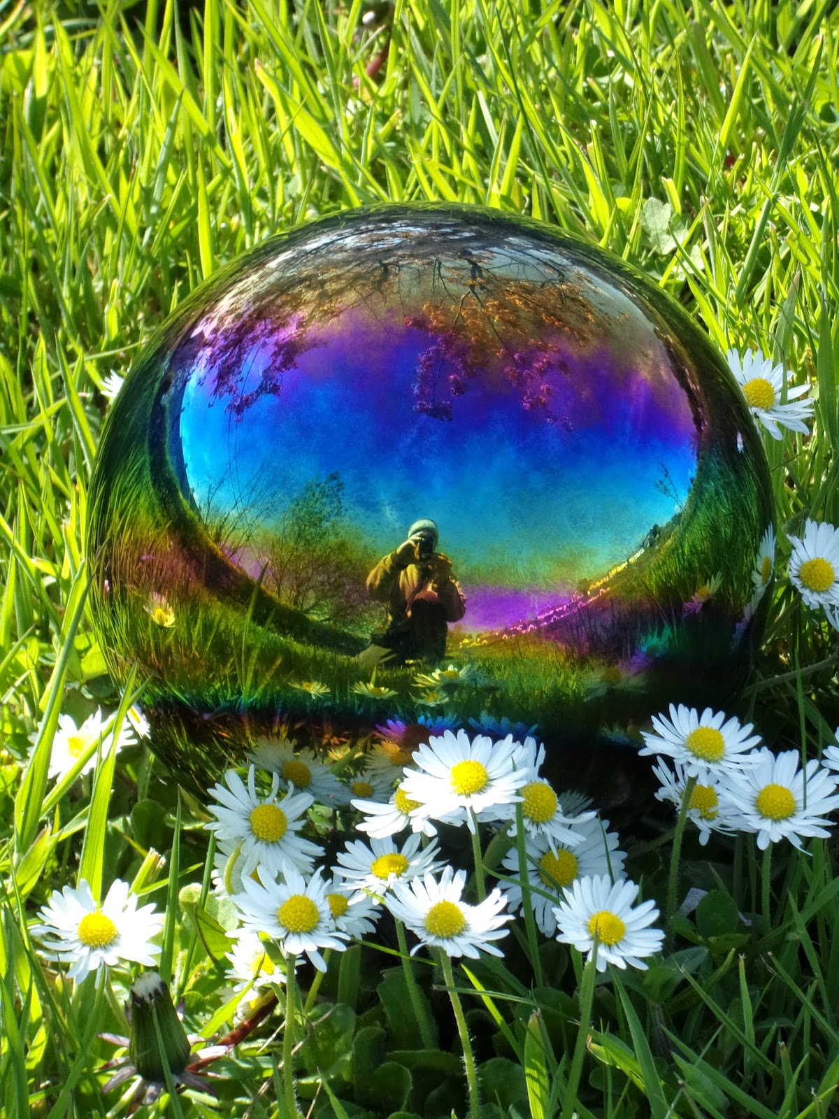 A GLOBAL SPRING, martin law, 2014