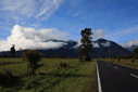 On the road to Fox Glacier