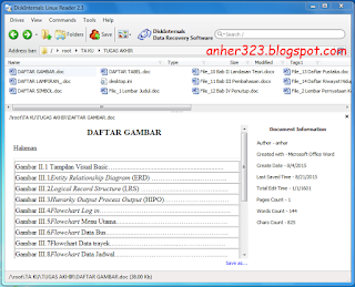 Disk Internals Linux Reader