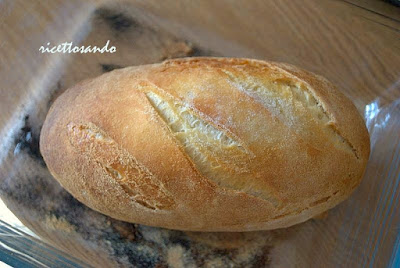 Pane di semola con lievito madre e cottura in pentola