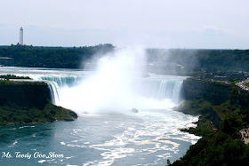 Niagara Falls - A Road Trip    by Ms. Toody Goo Shoes