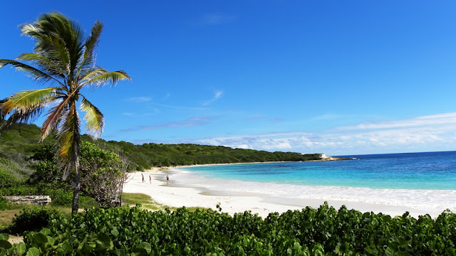 Half Moon Bay Antigua