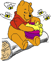 winnie the pooh 1 (10)