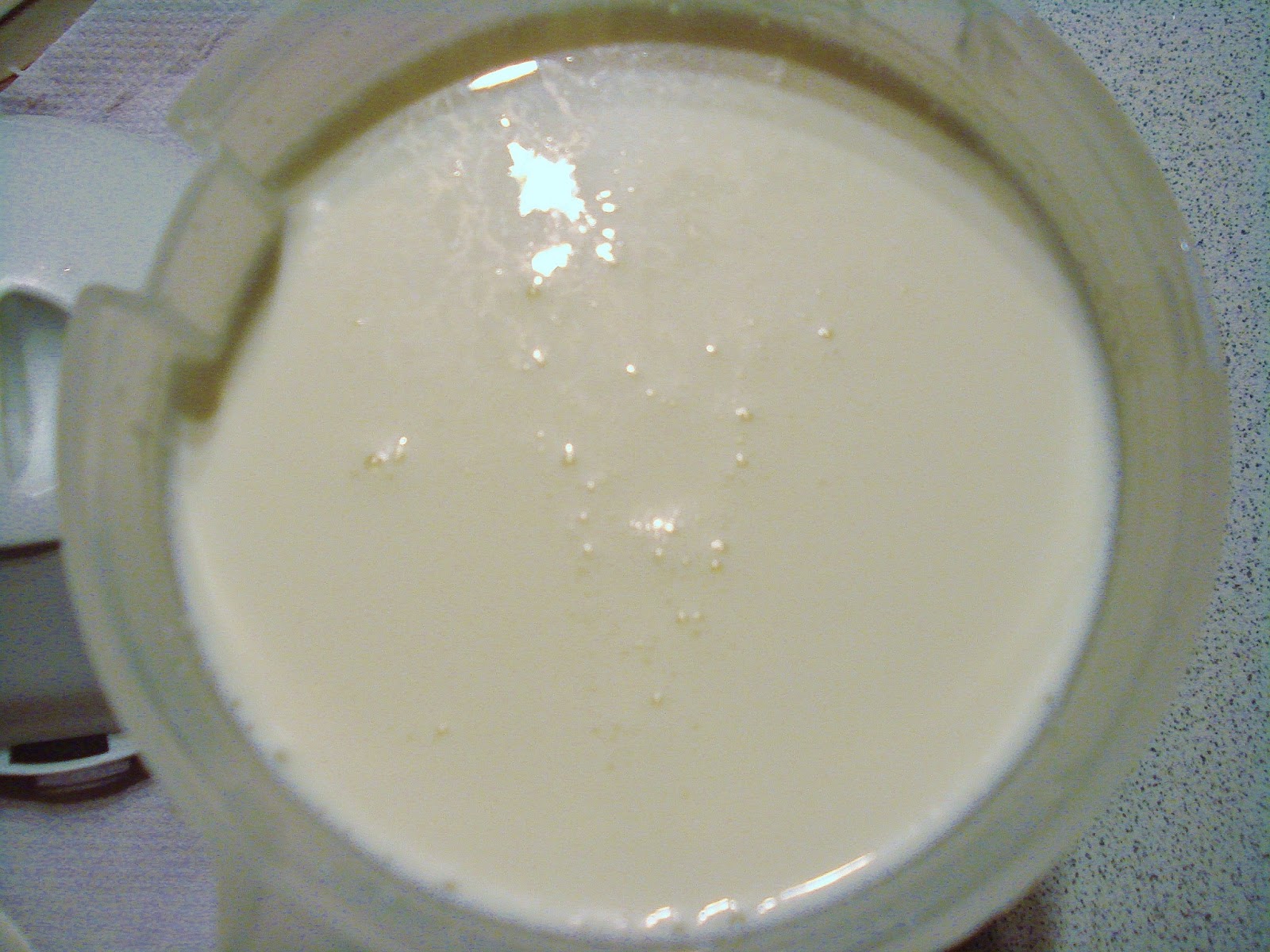yogurt maker scd Gluten and Veggie: SCD Yogurt Free SCD