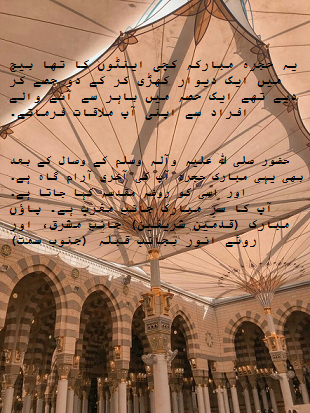 روضَہ رسول کی تفصیل  Description of Roza Rasool