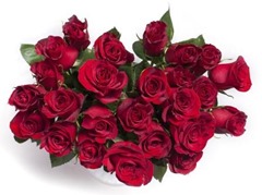 roses-982829_1920