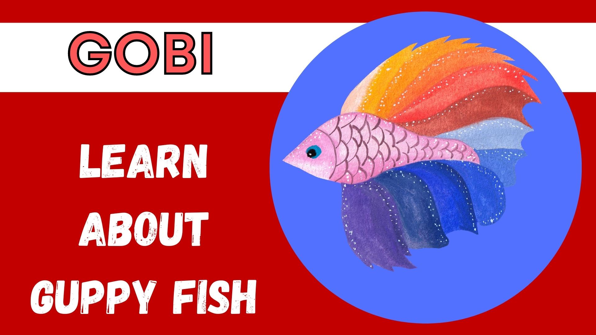 Learn About Guppy Fish