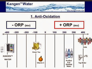 Manfaat-Kangen-Water-Kangen-Water-Jakarta-Air-Sehat-www.airkangen-water.blogspot.com-0817808070