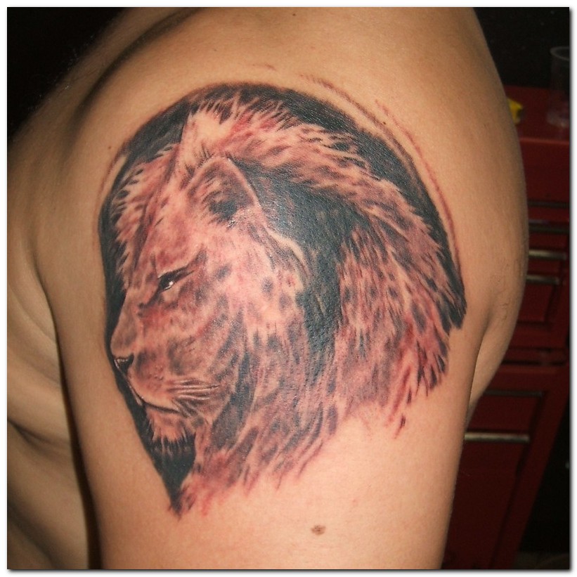 Lion Symbol Tatttoo >> Lion Tattoos and Tattoo Designs Pictures Gallery