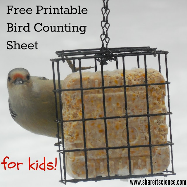 Free Bird Counting Tally Sheet for Kids Great Backyard Bird Count