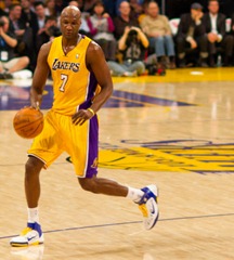 Lamar Odom in action