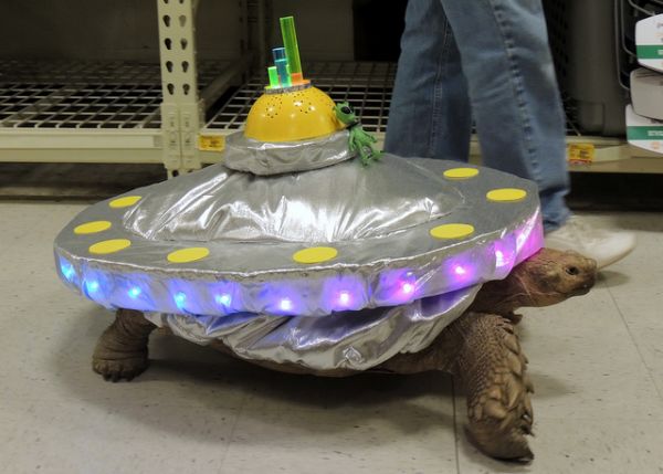 Michael Bay's Teenage Alien Ninja Turtles