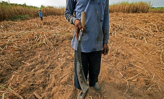 Senjata Tradisional Riau Kelewang