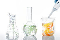 The photo shows three chemical beakers filled with different liquids. In the first glass, the liquid is transparent, in the second - yellow, and in the third - red. Flowers and fruits can be seen in the background.