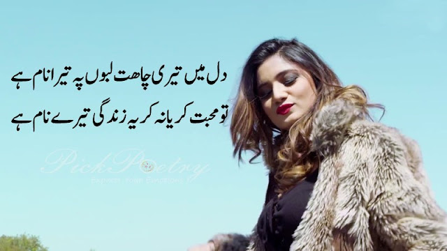 romantic shayari on love urdu