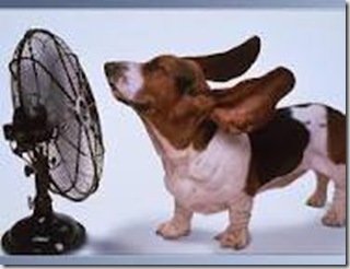 ventilador