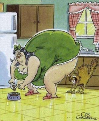 fat_lady_scared_cat-12299