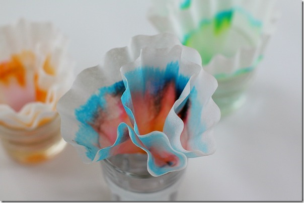 Chromatography Science Craft for Kids - this is such a fun science activity for kids. This beautiful and interesting kids activity is great for preschool, kindergarten, and elementary age students.