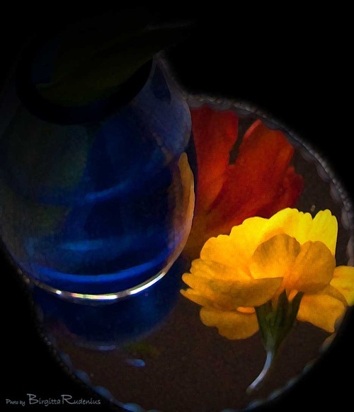 blommor_20110207_G9_1b