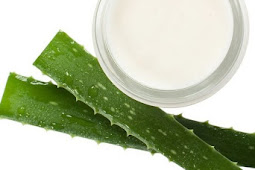 DIY Coconut Oil, Shea Butter, and Aloe Vera Healing Natural Skin Cream